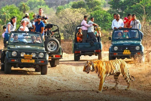 Jim Corbett & Nainital Tour Package